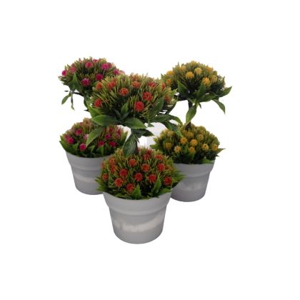 ИКЕБАНА ЦВЕТЕ В САКСИЯ 25/13СМ.